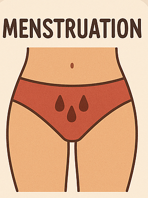What You Need to Know About Menstrual Cessation —— Menopause?